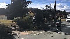 Baum blockiert Straße