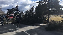 Baum blockiert Straße