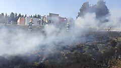 Flurbrand in Ollersdorf