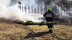 Flurbrände in Ollersdorf